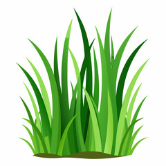 Fototapeta premium Vibrant Green Grass Blades Illustration Isolated on White