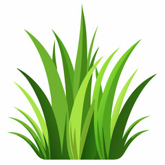 Vibrant Green Grass Blades Illustration for Design