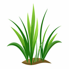 Vibrant Green Grass Blades Illustration Isolated on White