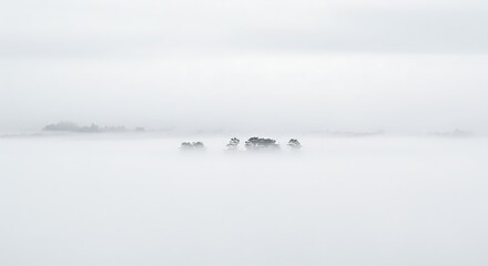 Misty Morning Landscape Ethereal Trees Emerging from Fog