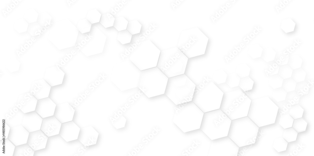 Poster abstract white and black lines 3d hexagonal, modern abstract vector polygonal pattern, showcasing ge