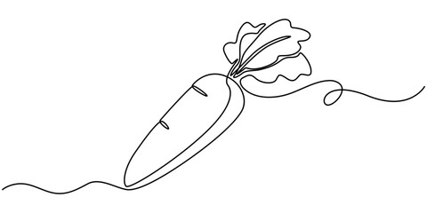 Carrot continuous one line icon, a hand drawn vector doodle illustration of a fresh carrot, Carrot in one continuous line drawing of vector illustration, Carrot in one continuous line drawing.