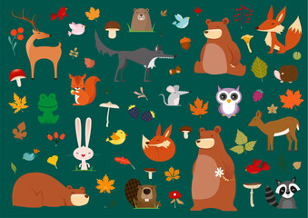 Cute little woodland wild animals and birds