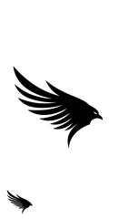 Fototapeta premium Raven's Ascent AI Generated