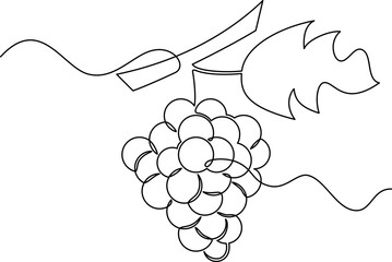 one line art Grape vector illustration. line art, one continuous line, simple, hand drawn and sketch style. for icons, symbols, signs or logos. PNG