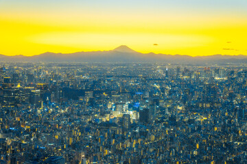 High-resolution photo of Tokyo cityscape taken from the Tokyo Skytree observation deck. Featuring expansive views of the Japanese capital, including skyscrapers, urban sprawl, and Mount Fuji
