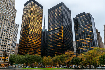 Skyscrapers illuminate the financial district at dusk with vibrant city lights and autumn foliage