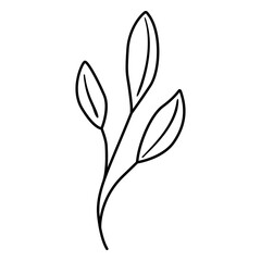 Spring leaves thin stroke