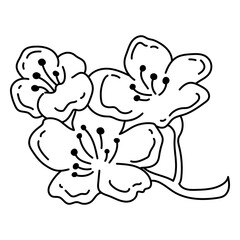 Buttercup flowers stroke