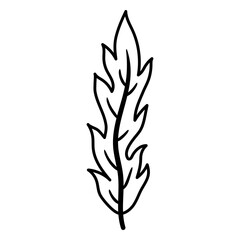 Stylish hand-drawn leaf illustration