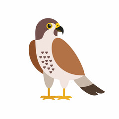 Cute Falcon Vector Illustration in Minimal Flat Style – Simple Bird of Prey Cartoon Design