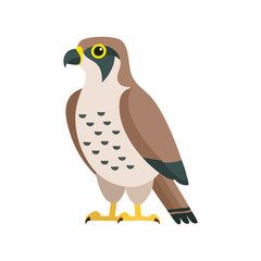 Cute Falcon Vector Illustration in Minimal Flat Style – Simple Bird of Prey Cartoon Design