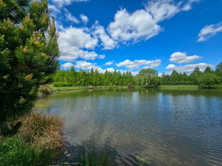 Serene Lake Landscape on a Sunny Day Nature s Tranquility
