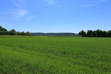Fototapeta premium Blick über das Heckengäu bei Renningen