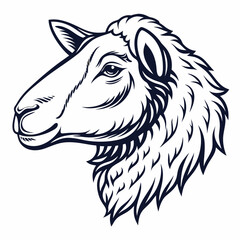 Sheep vector illustration