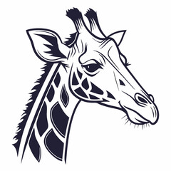 giraffe vector illustration