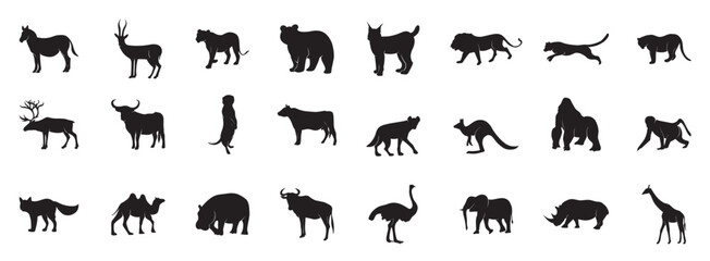 Wild Animals Collection