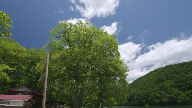 宮城県七ヶ宿町 長老湖の風景 Scenery of Lake Choro in Shichikashuku Town, Miyagi Prefecture