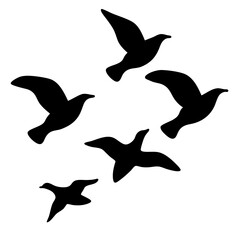 Fototapeta premium Five Birds Silhouetted Against a White Sky, Graceful and Elegant Flight