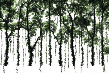 015-047-261-u8969375333_silhouettes_fill_Solid_A_rainforest_tree_with_han_d1e0a4b1-5d53-4707-aa46-bf54167fd132_2