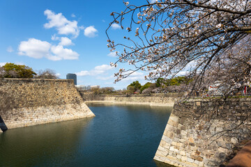 春の大阪城の水堀（2025年4月撮影）
