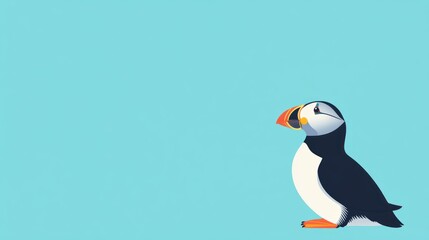 Puffin illustration on a light teal background