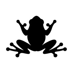 A striking silhouette of a frog showcasing its distinct amphibian features
