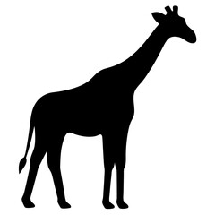 A Silhouette of a Giraffe Standing Tall Against a White Background