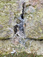 Close up of a spider web on a brick wall. A spider hole in a brick wall covered with web