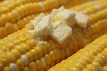 Boiled Corn on Cob with Melting Butter Close-Up Scene  
