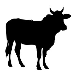 Silhouette of a cow. Vector illustration