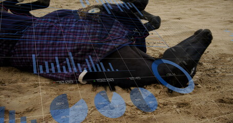 Image of statistics and data processing over horse