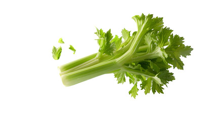 A close up view of a bunch of fresh green celery with leaves on a transparent background in a studio shot