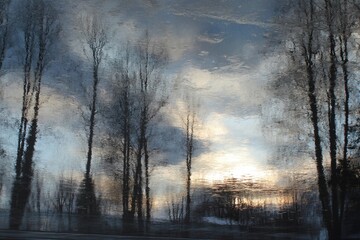 Fototapeta premium Blustery Twilight Silhouettes against a Dimming Landscape