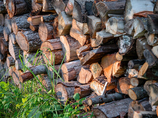 A stack of logs with some grass in between them. The image has a calm and tranquil atmosphere, with...