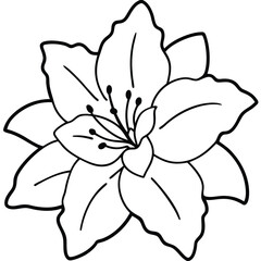 Azalea Flower Head Vector Art