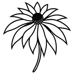 Echinacea Flower in Profile View line art vector