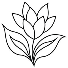 Elegant Botanical Line Collage line art vector