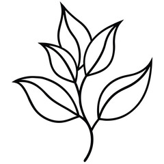 Minimal Botanical Line Design line art vector