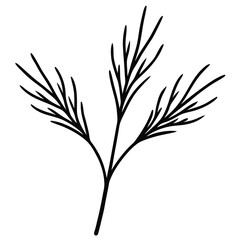 Fennel Fronds Botanical Sketch line art vector