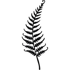 Fern Frond Gently Unfolding line art vector © Ashraf