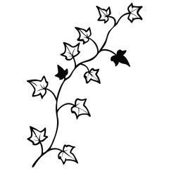 Ivy Leaves Climbing line art vector