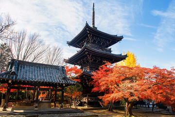 pagoda and colorful fall maple leaves at Shinnyodo Temple, Kyoto