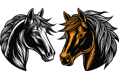 Horse sketch side portrait of a horse profile on a white 