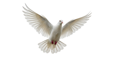 White Dove in Flight Transparent Background Peaceful Bird