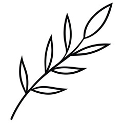Olive Branch with Narrow Leaves line art vector