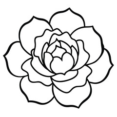 Peony in Full Bloom line art vector