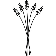 Rustic Bouquet with Dried Flowers line art vector