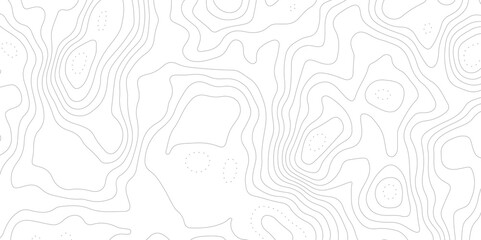 modern topographic  abstract white surface with intricate gray wave lines forming organic shapes, creating a minimalist and modern textured whit background design.