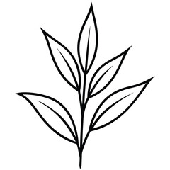 Tarragon Leaves line art vector